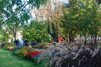 Erzsébet-kert