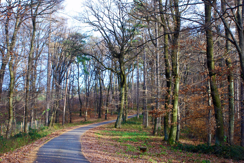 Lővérek turistaútvonalai